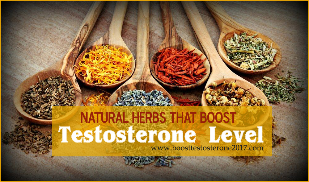 herbs that boost testosterone level naturally
